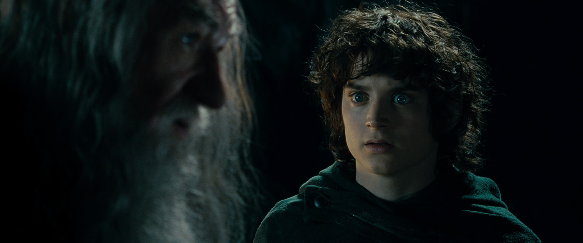 The Lord of the Rings: The Fellowship of the Ring (2001) screencap 15036
