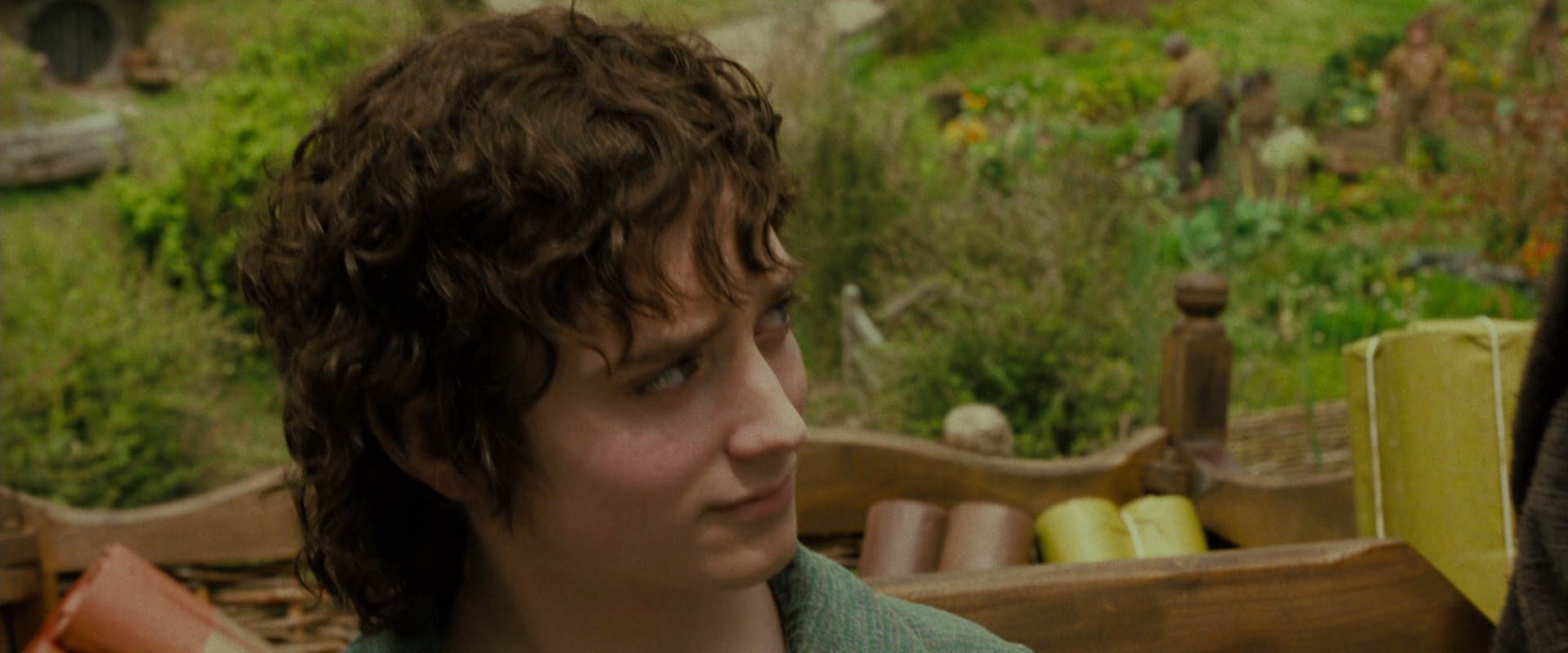 The Lord of the Rings: The Fellowship of the Ring (2001) movie still 1504