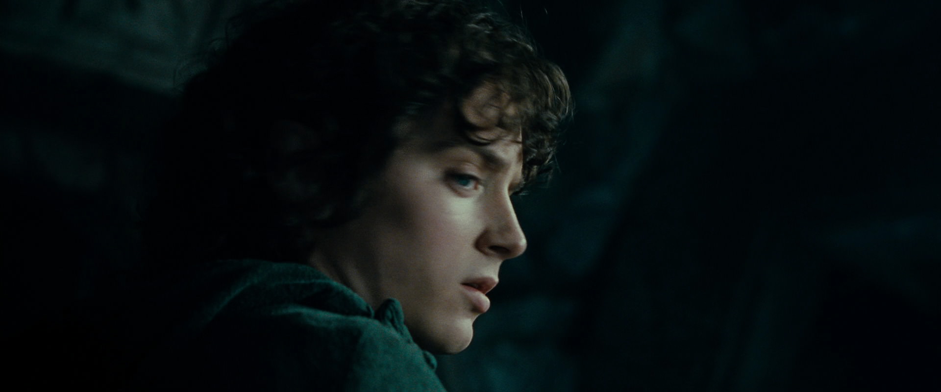 The Lord of the Rings: The Fellowship of the Ring (2001) screencap 15042