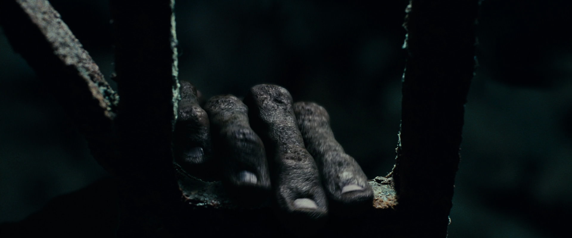 The Lord of the Rings: The Fellowship of the Ring (2001) HD screenshot 15047