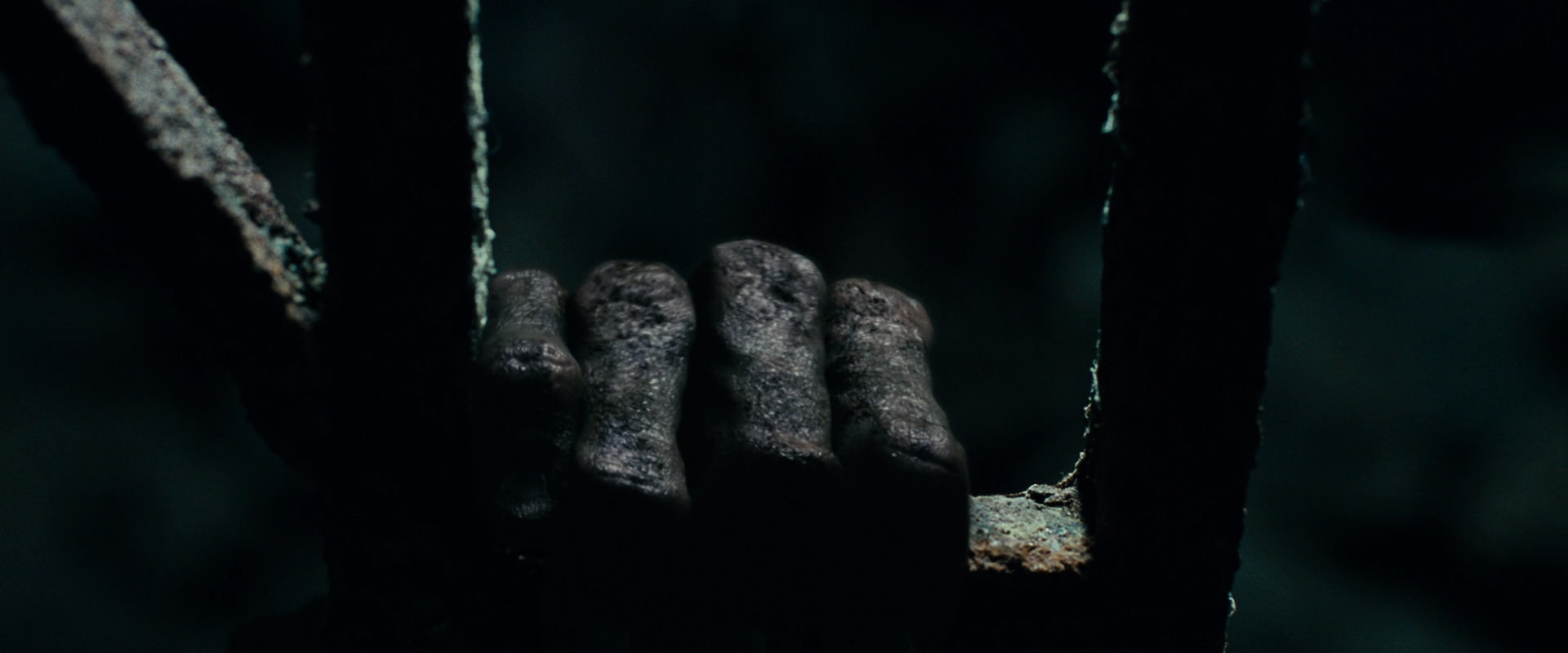The Lord of the Rings: The Fellowship of the Ring (2001) screencap 15048