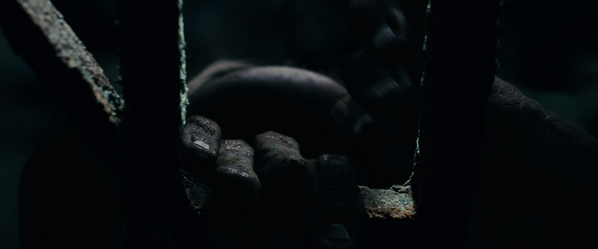 The Lord of the Rings: The Fellowship of the Ring (2001) HD screenshot 15050