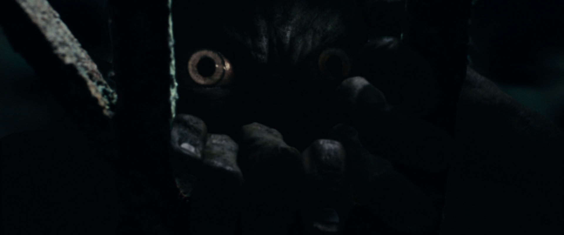The Lord of the Rings: The Fellowship of the Ring (2001) screencap 15057