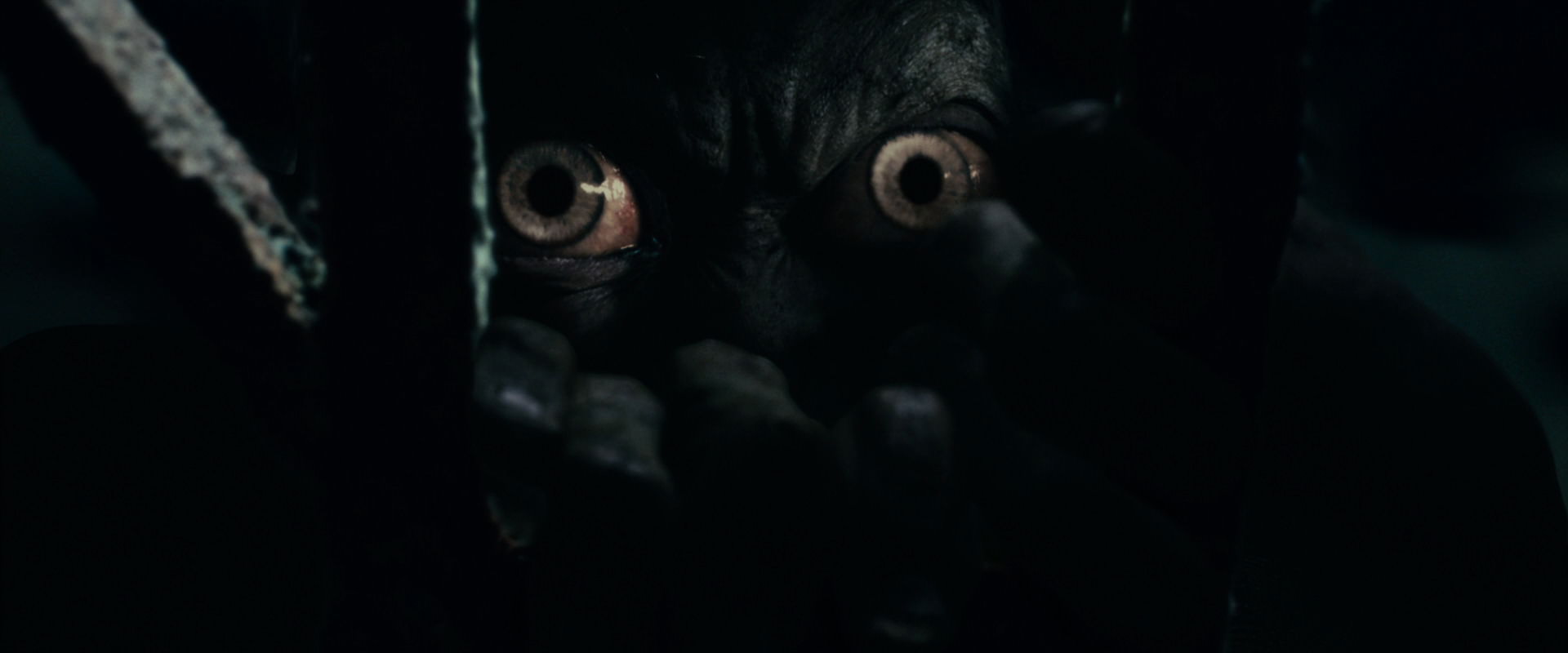 The Lord of the Rings: The Fellowship of the Ring (2001) HD screenshot 15059