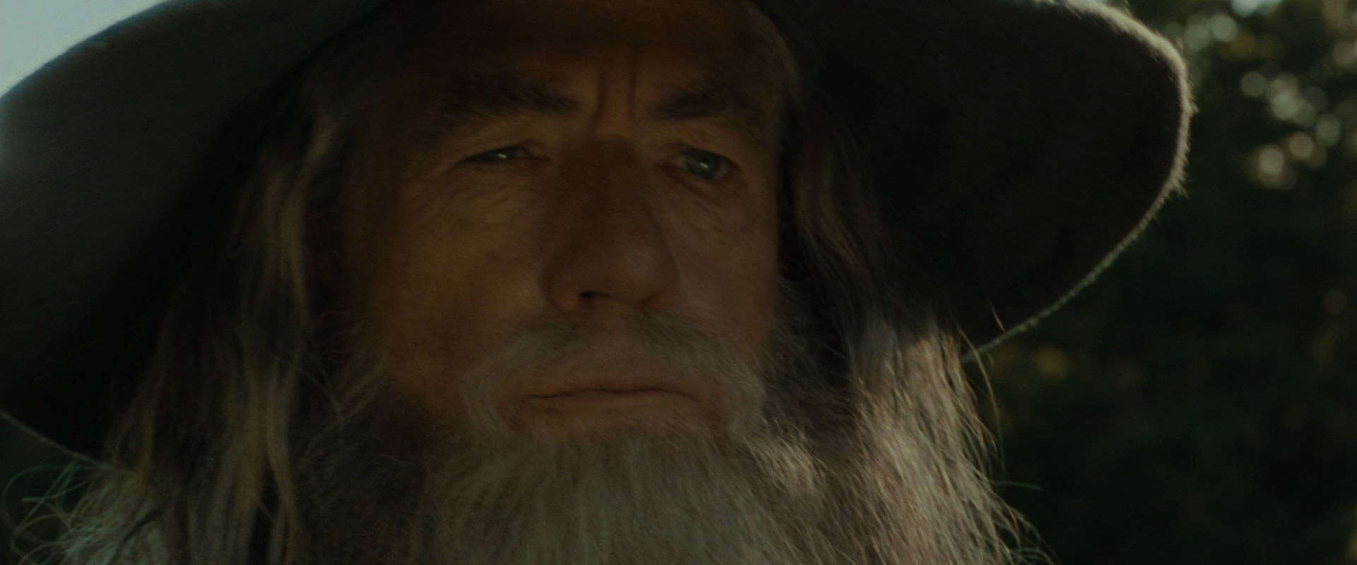 The Lord of the Rings: The Fellowship of the Ring (2001) screencap 1506