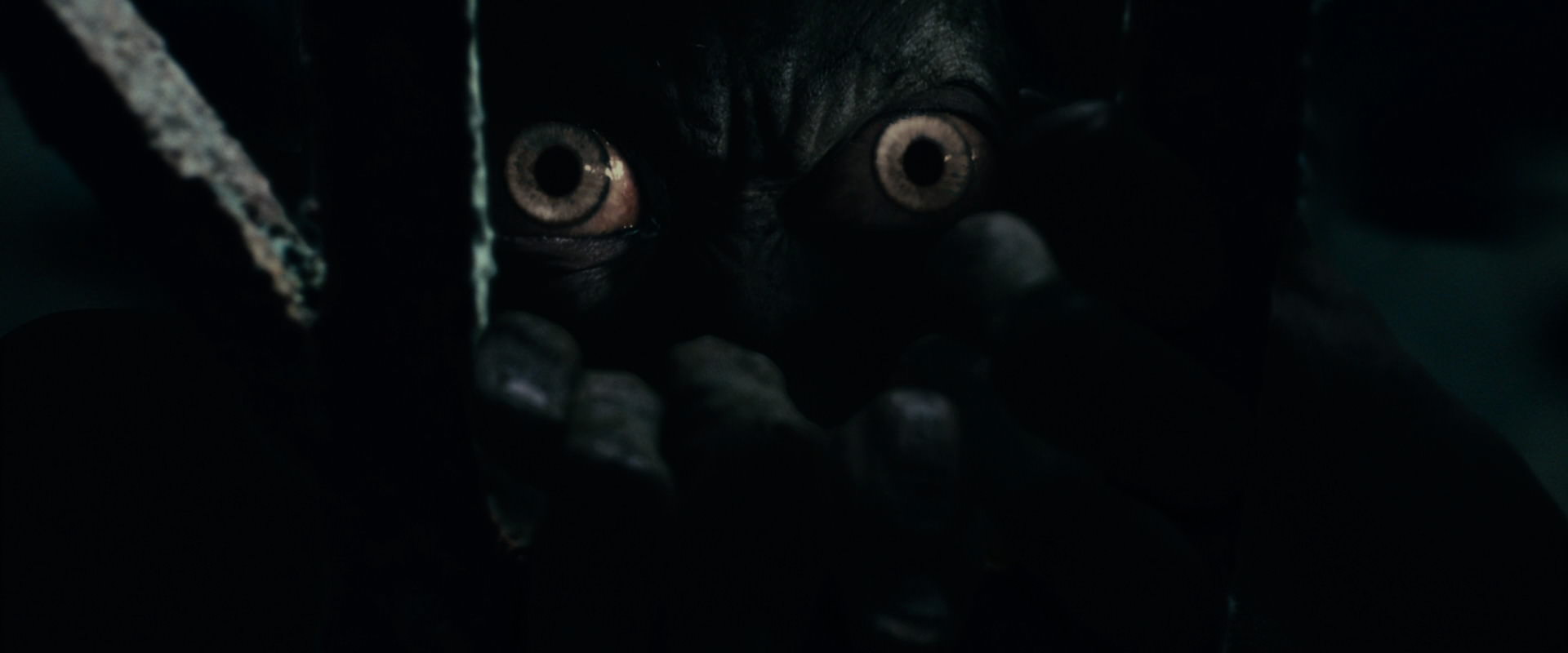 The Lord of the Rings: The Fellowship of the Ring (2001) screencap 15060