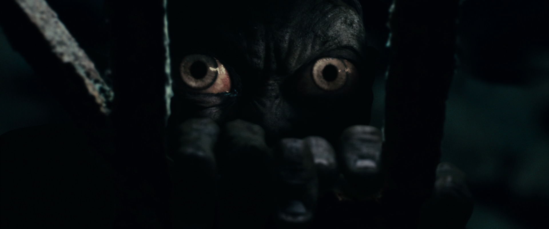 The Lord of the Rings: The Fellowship of the Ring (2001) screencap 15063