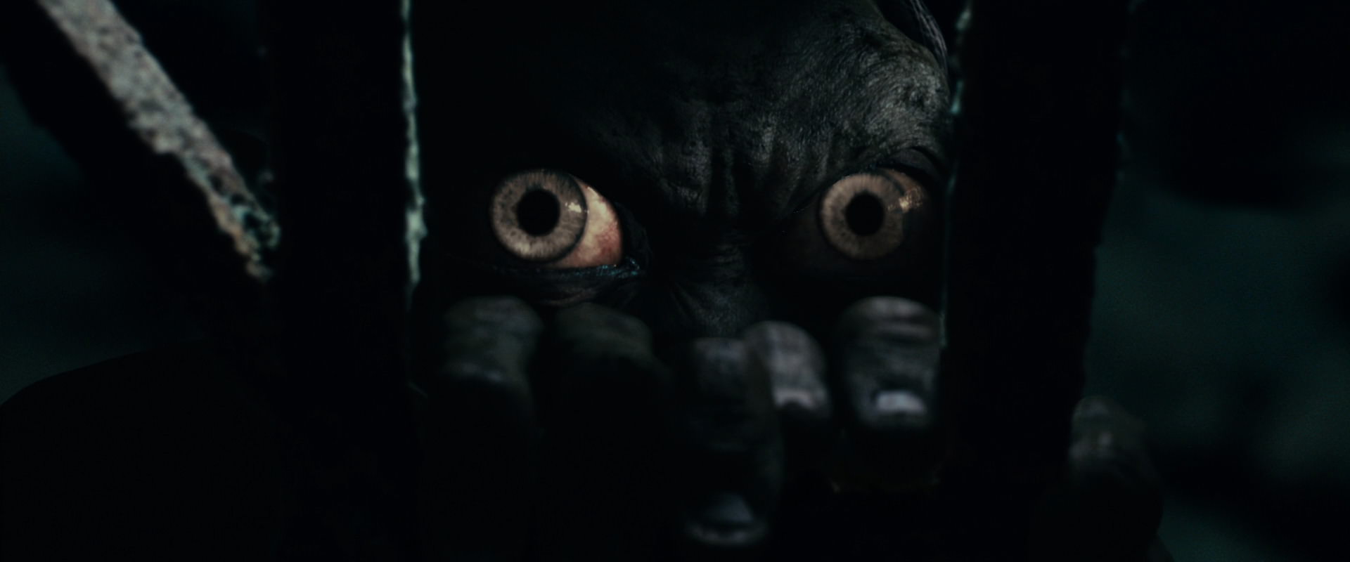 The Lord of the Rings: The Fellowship of the Ring (2001) screencap 15069