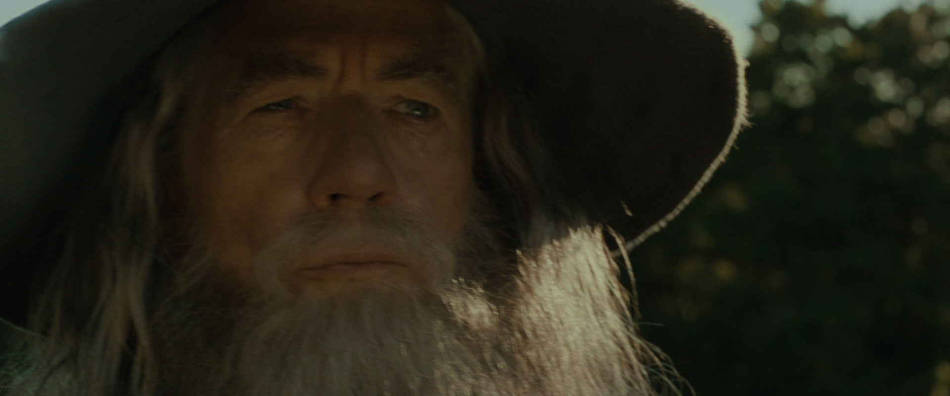 The Lord of the Rings: The Fellowship of the Ring (2001) movie still 1507