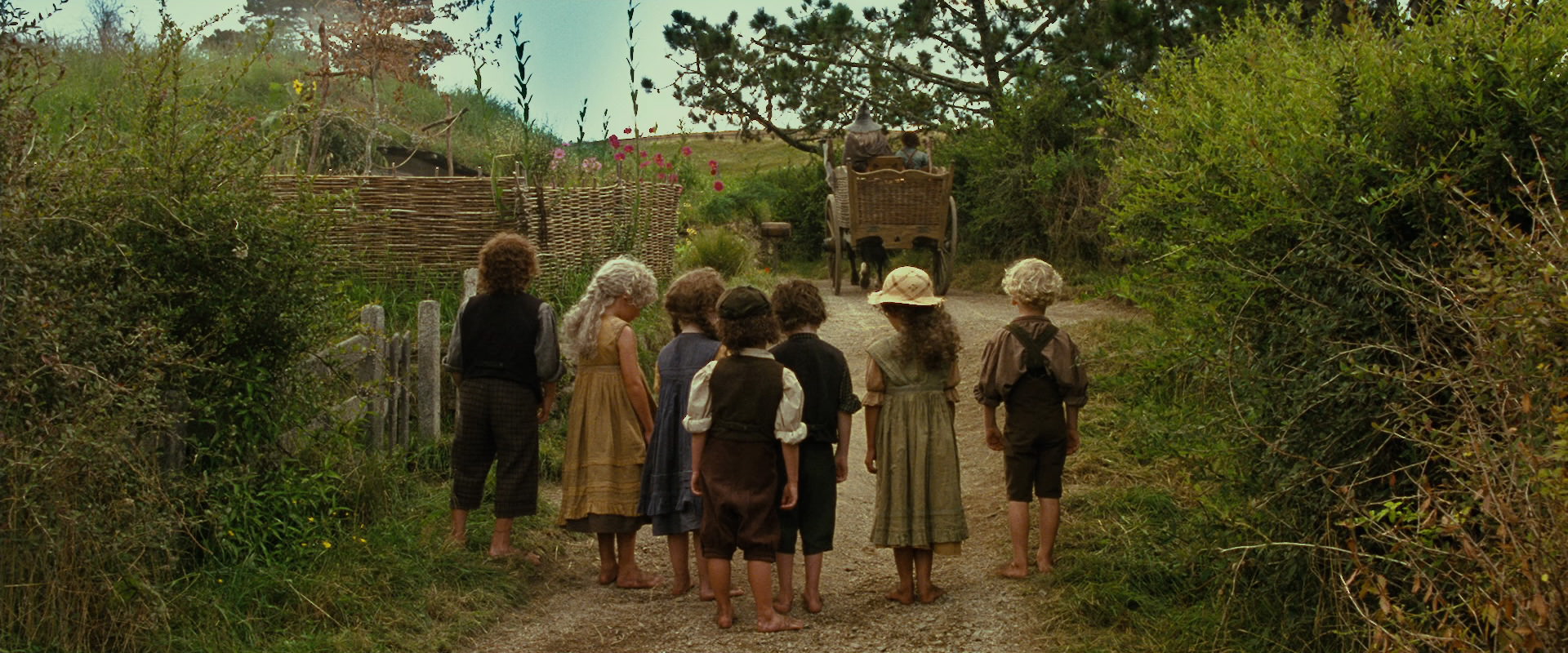 The Lord of the Rings: The Fellowship of the Ring (2001) HD screenshot 1508