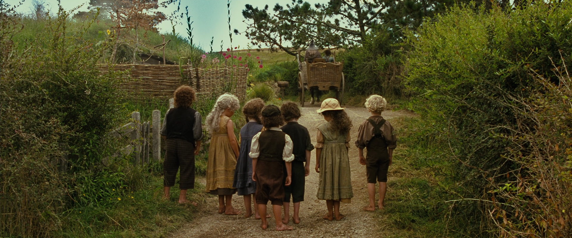 The Lord of the Rings: The Fellowship of the Ring (2001) screencap 1509