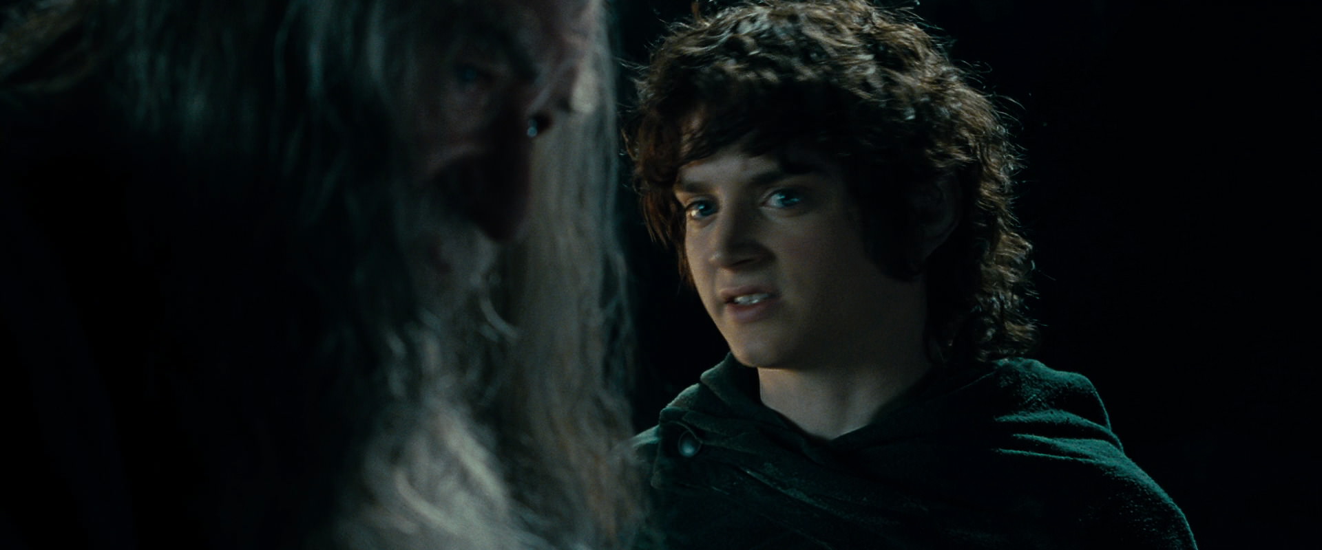 The Lord of the Rings: The Fellowship of the Ring (2001) screencap 15105