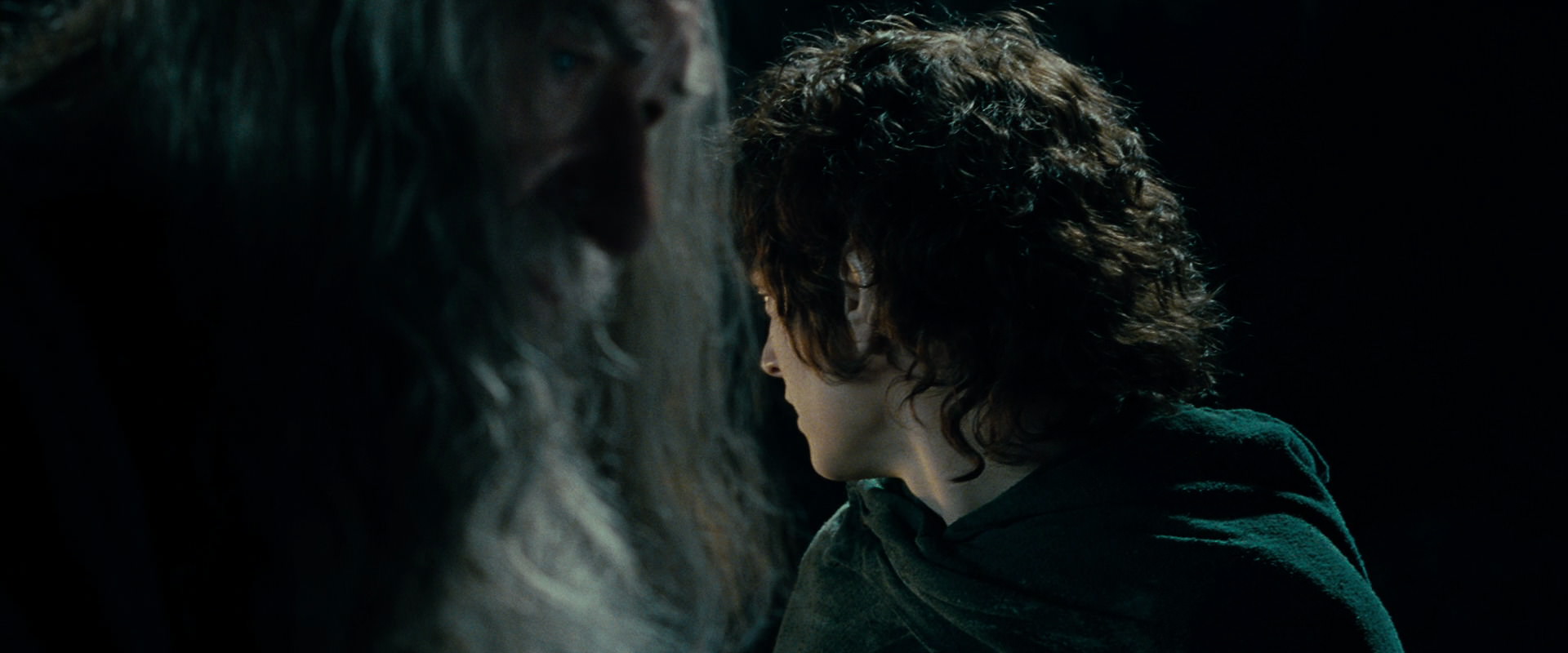 The Lord of the Rings: The Fellowship of the Ring (2001) screencap 15108
