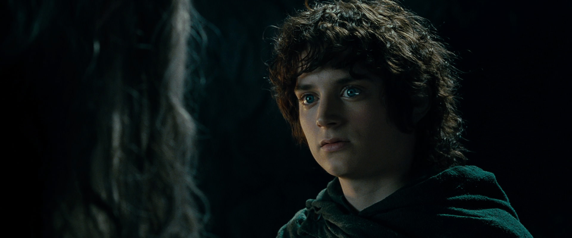 The Lord of the Rings: The Fellowship of the Ring (2001) screencap 15123