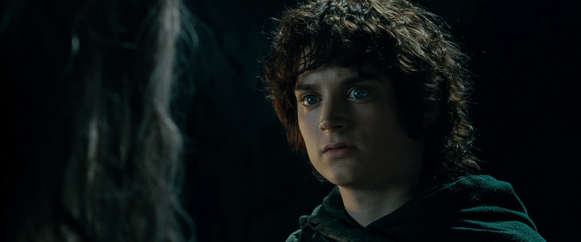 The Lord of the Rings: The Fellowship of the Ring (2001) screencap 15129