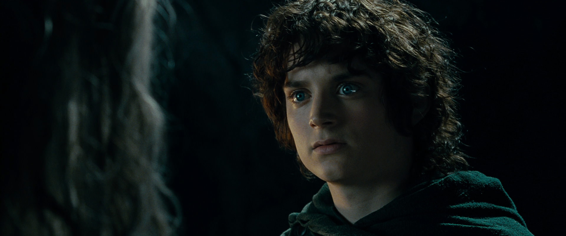 The Lord of the Rings: The Fellowship of the Ring (2001) HD screenshot 15131