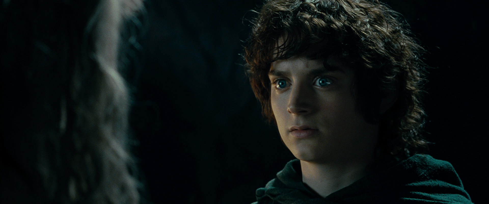 The Lord of the Rings: The Fellowship of the Ring (2001) HD screenshot 15140
