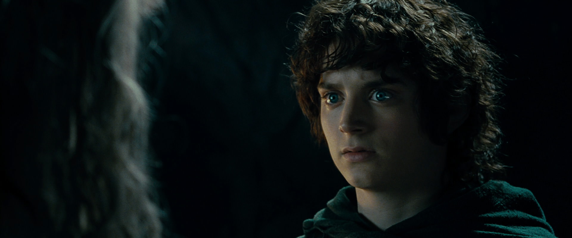 The Lord of the Rings: The Fellowship of the Ring (2001) screencap 15141