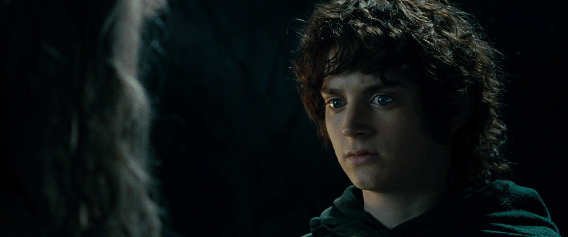 The Lord of the Rings: The Fellowship of the Ring (2001) screencap 15144