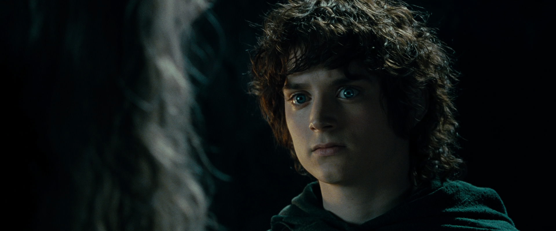 The Lord of the Rings: The Fellowship of the Ring (2001) screencap 15159