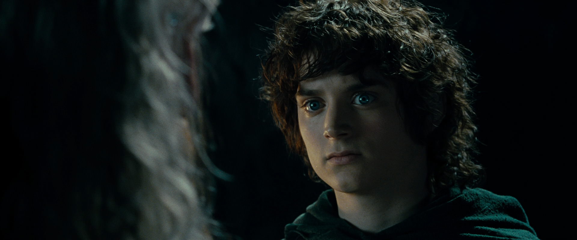 The Lord of the Rings: The Fellowship of the Ring (2001) HD screenshot 15161