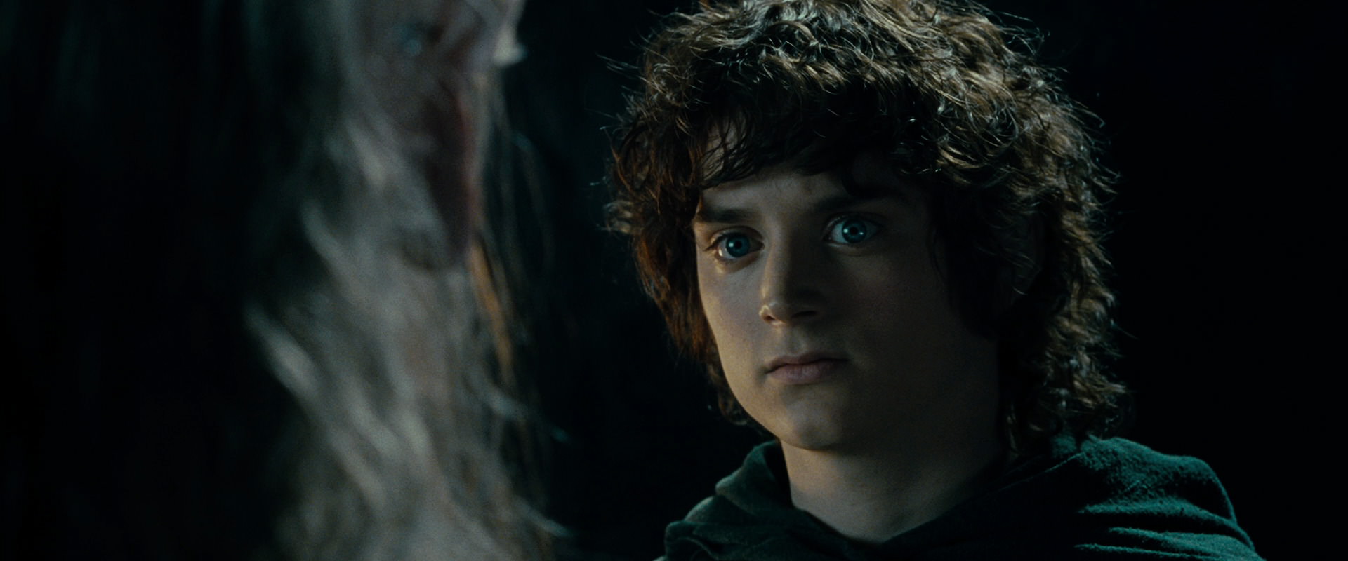 The Lord of the Rings: The Fellowship of the Ring (2001) screencap 15162