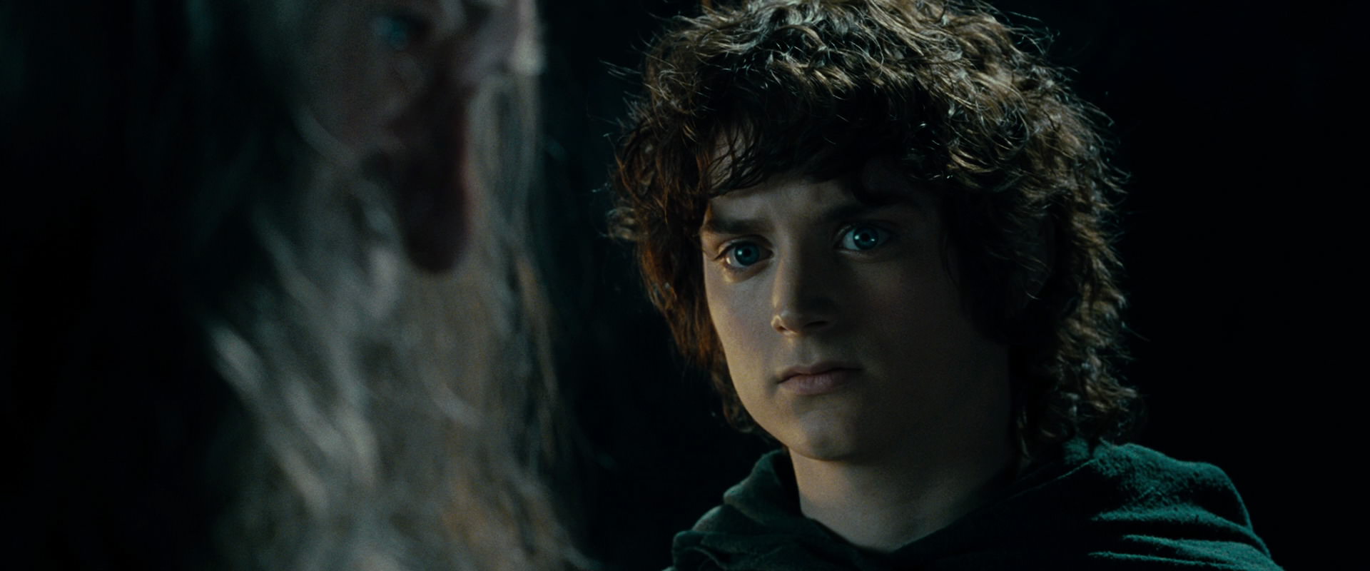 The Lord of the Rings: The Fellowship of the Ring (2001) screencap 15165