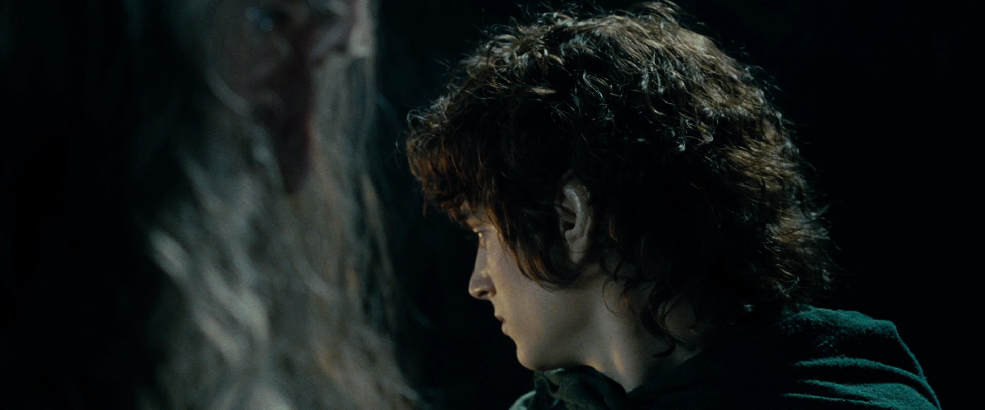 The Lord of the Rings: The Fellowship of the Ring (2001) screencap 15171