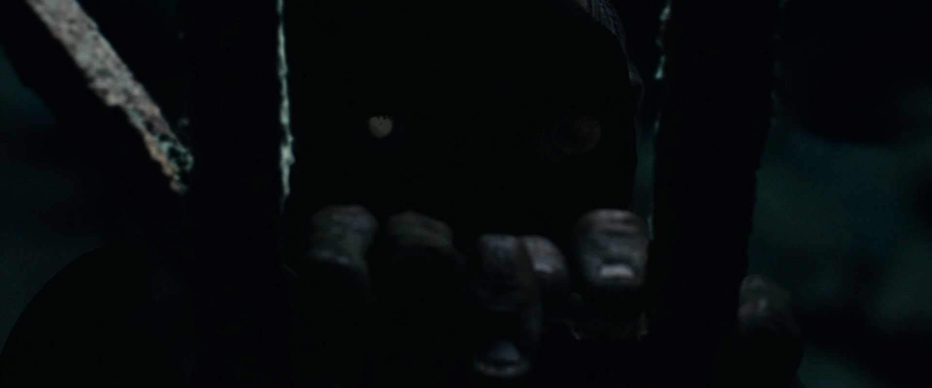 The Lord of the Rings: The Fellowship of the Ring (2001) screencap 15174