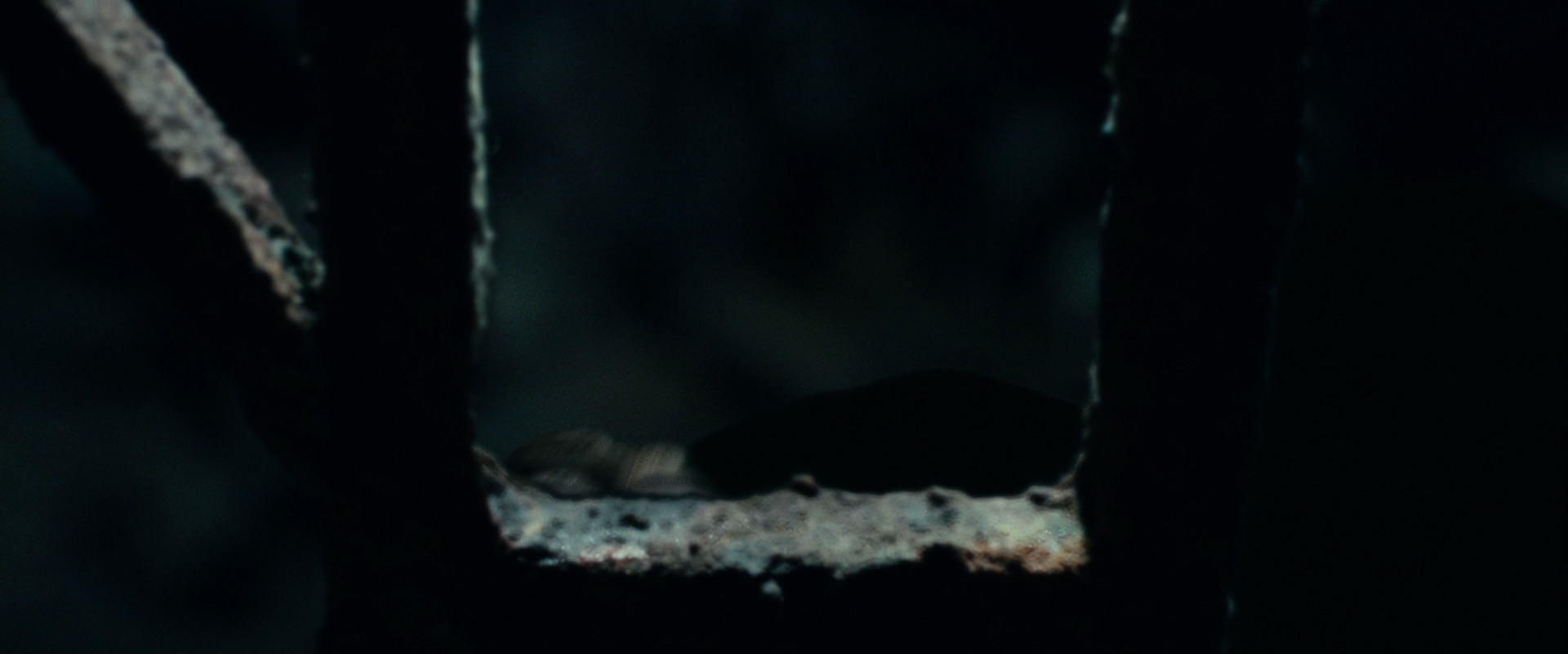 The Lord of the Rings: The Fellowship of the Ring (2001) HD screenshot 15179