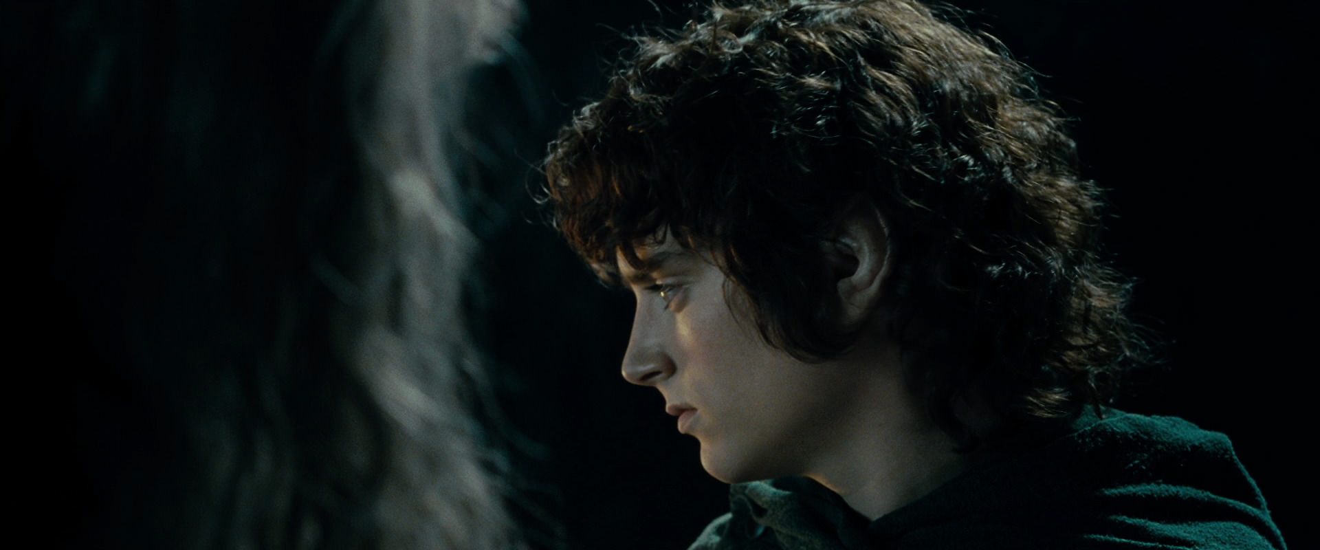 The Lord of the Rings: The Fellowship of the Ring (2001) screencap 15180