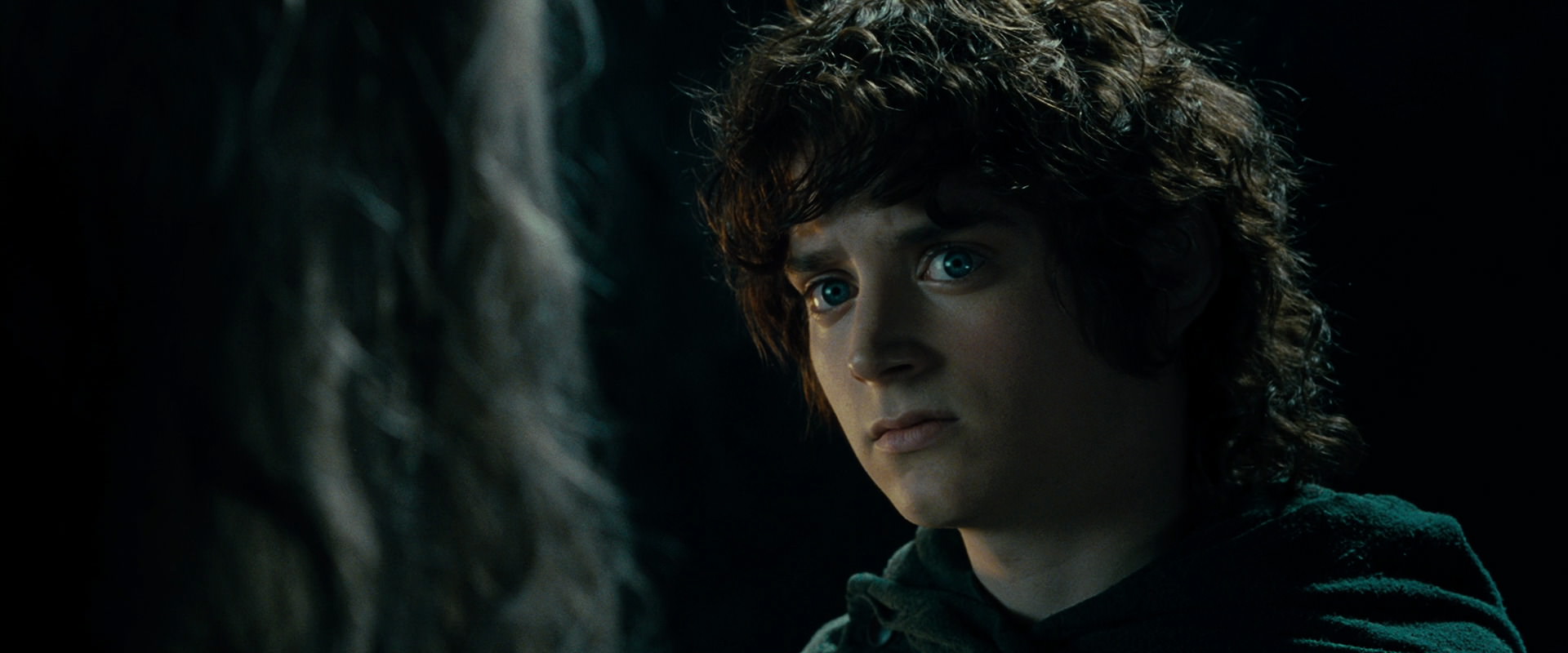 The Lord of the Rings: The Fellowship of the Ring (2001) screencap 15183