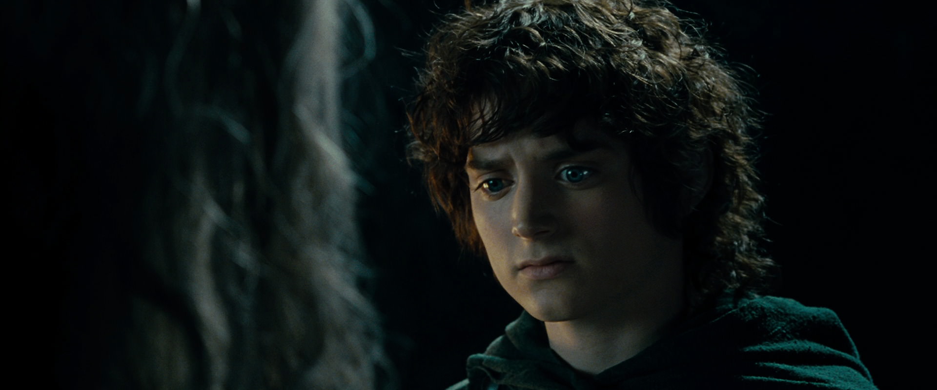 The Lord of the Rings: The Fellowship of the Ring (2001) screencap 15192