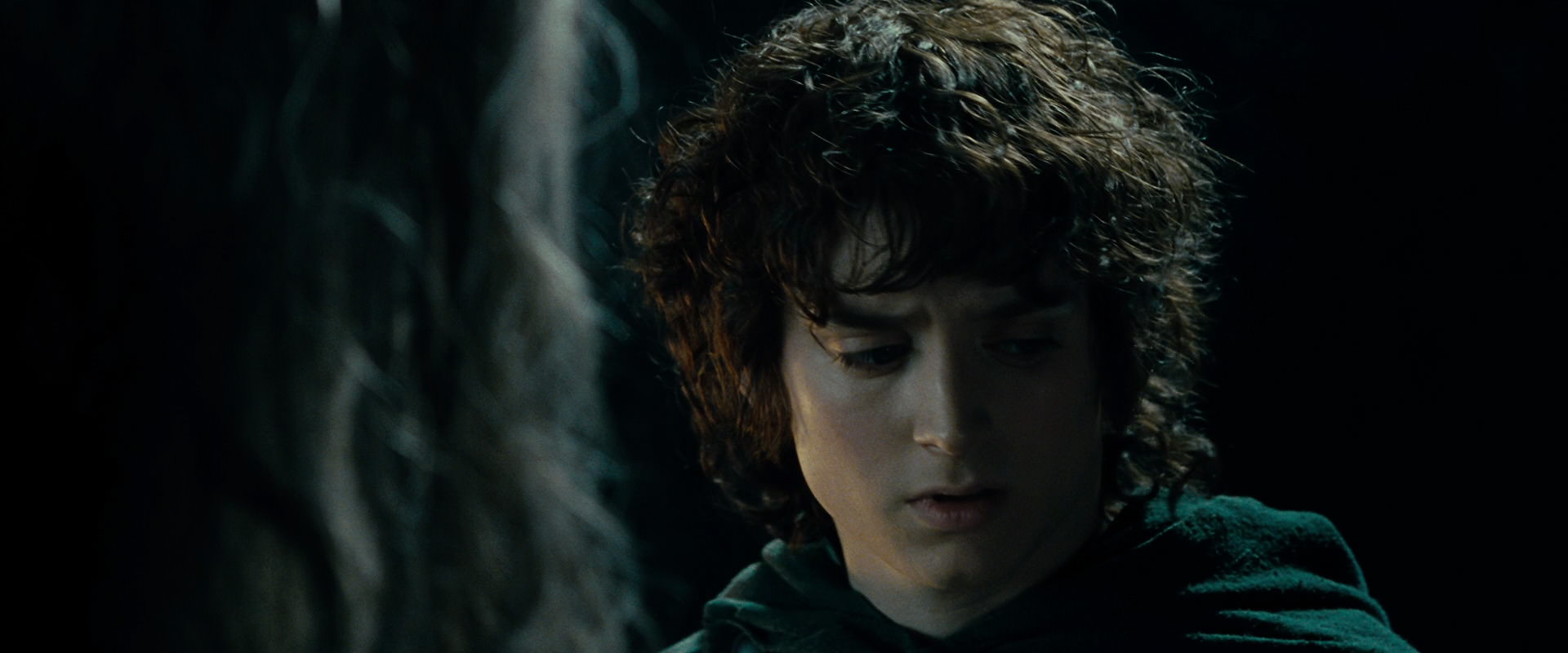 The Lord of the Rings: The Fellowship of the Ring (2001) HD screenshot 15194