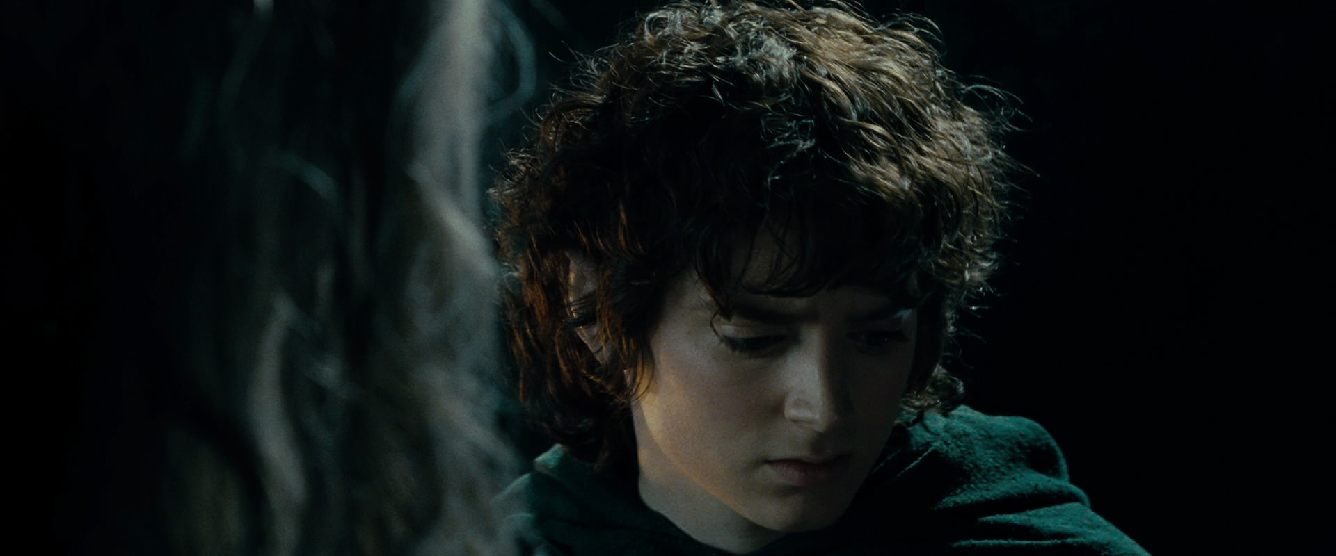 The Lord of the Rings: The Fellowship of the Ring (2001) screencap 15195