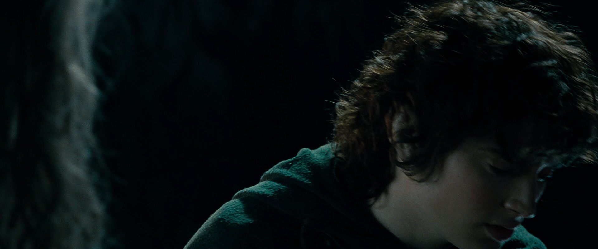 The Lord of the Rings: The Fellowship of the Ring (2001) HD screenshot 15197