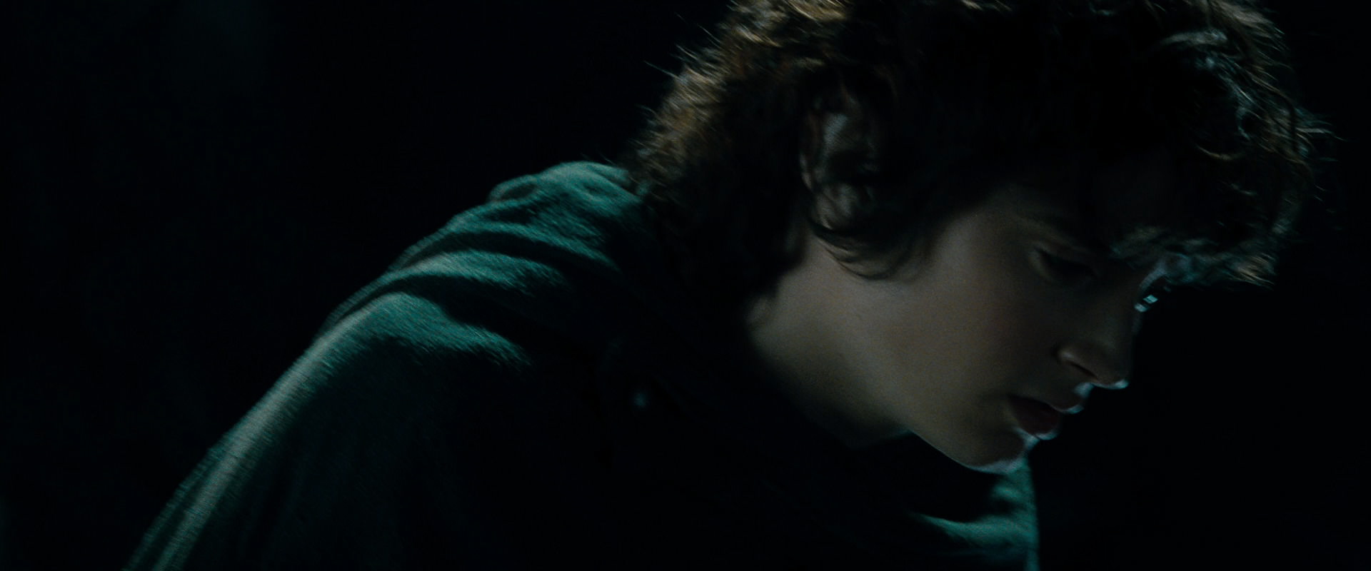 The Lord of the Rings: The Fellowship of the Ring (2001) screencap 15198