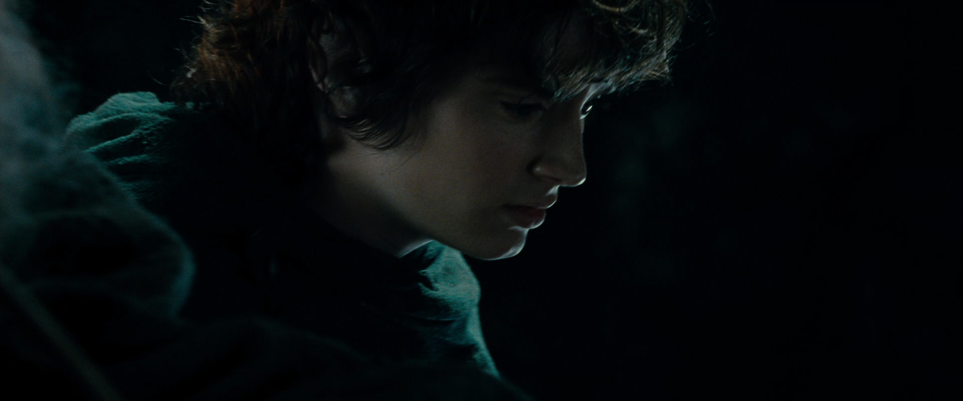 The Lord of the Rings: The Fellowship of the Ring (2001) HD screenshot 15200