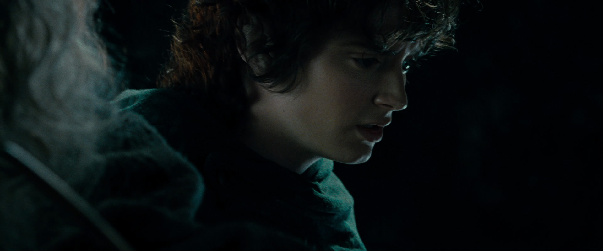 The Lord of the Rings: The Fellowship of the Ring (2001) screencap 15201