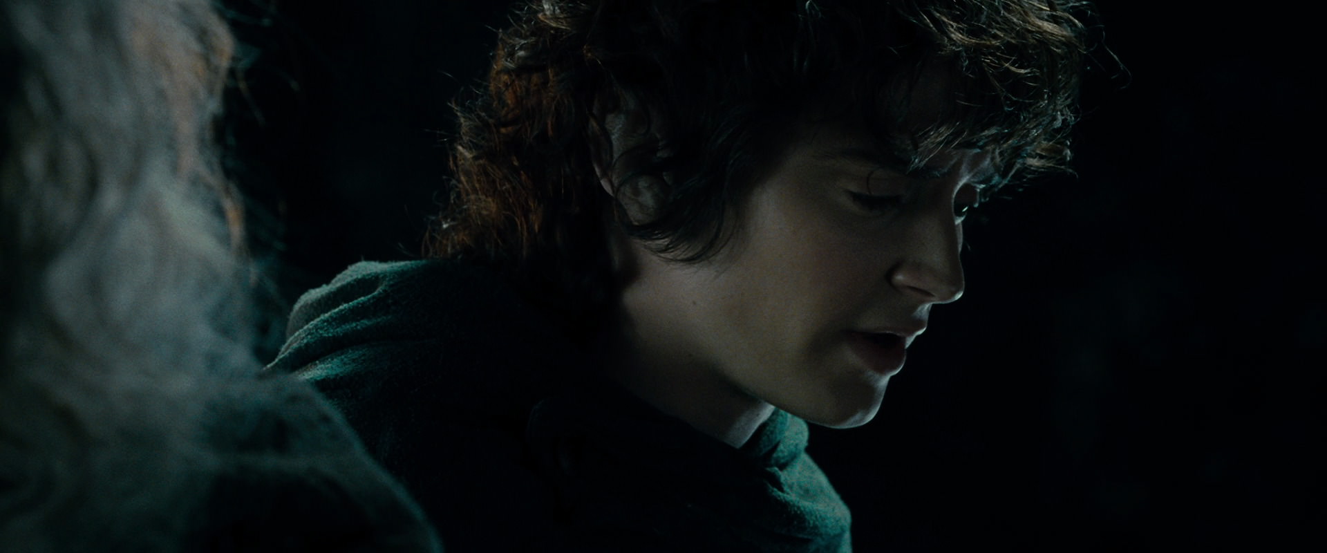 The Lord of the Rings: The Fellowship of the Ring (2001) screencap 15204