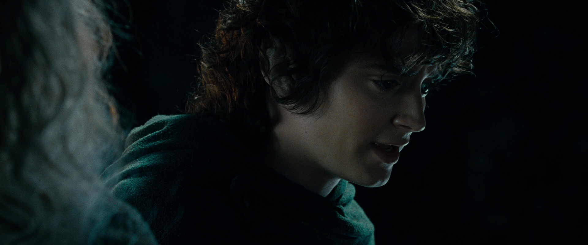 The Lord of the Rings: The Fellowship of the Ring (2001) HD screenshot 15206