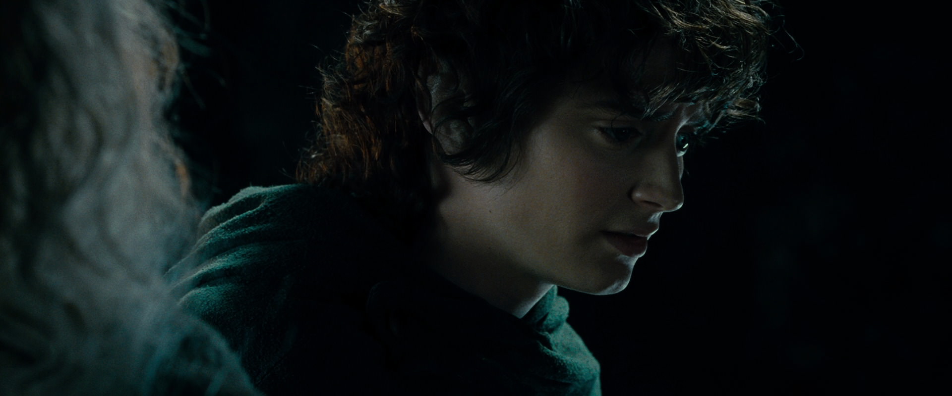 The Lord of the Rings: The Fellowship of the Ring (2001) screencap 15207