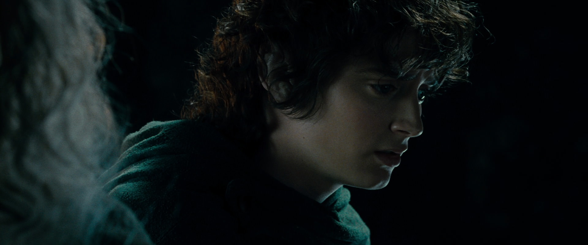 The Lord of the Rings: The Fellowship of the Ring (2001) HD screenshot 15209