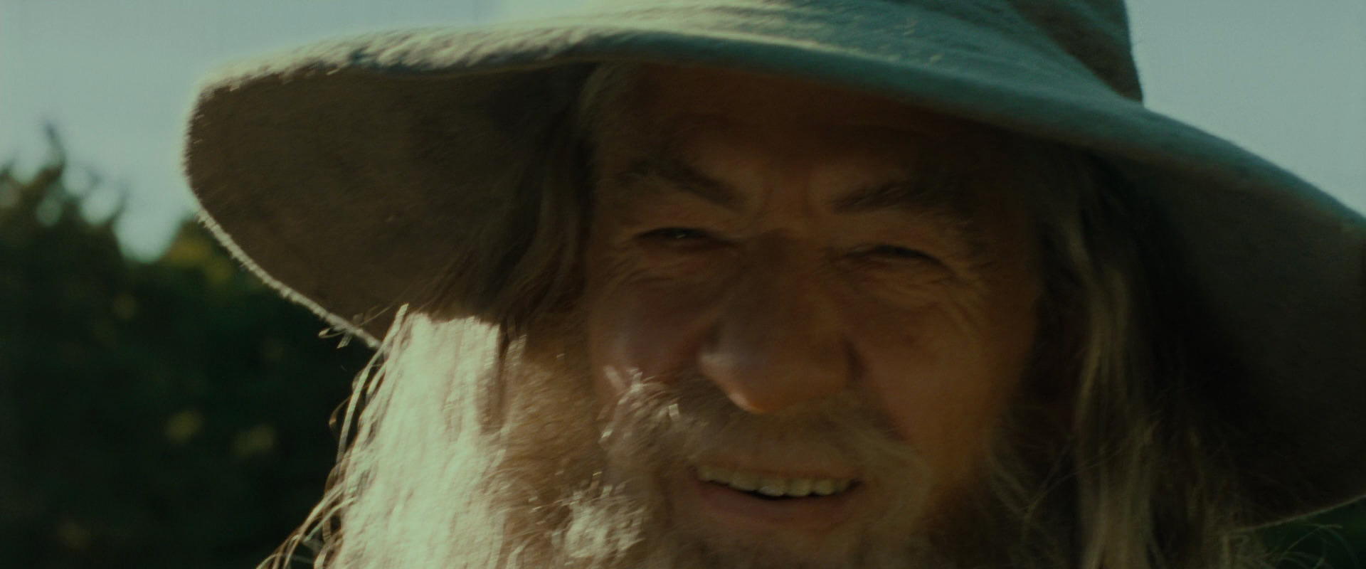 The Lord of the Rings: The Fellowship of the Ring (2001) screencap 1521