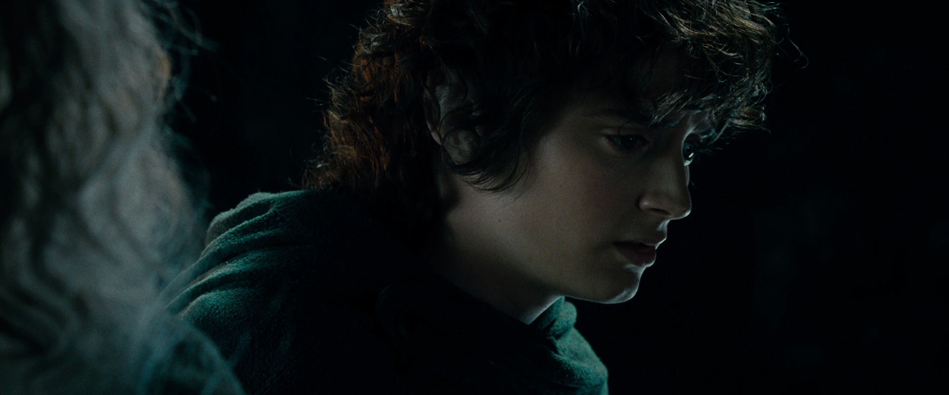 The Lord of the Rings: The Fellowship of the Ring (2001) screencap 15210