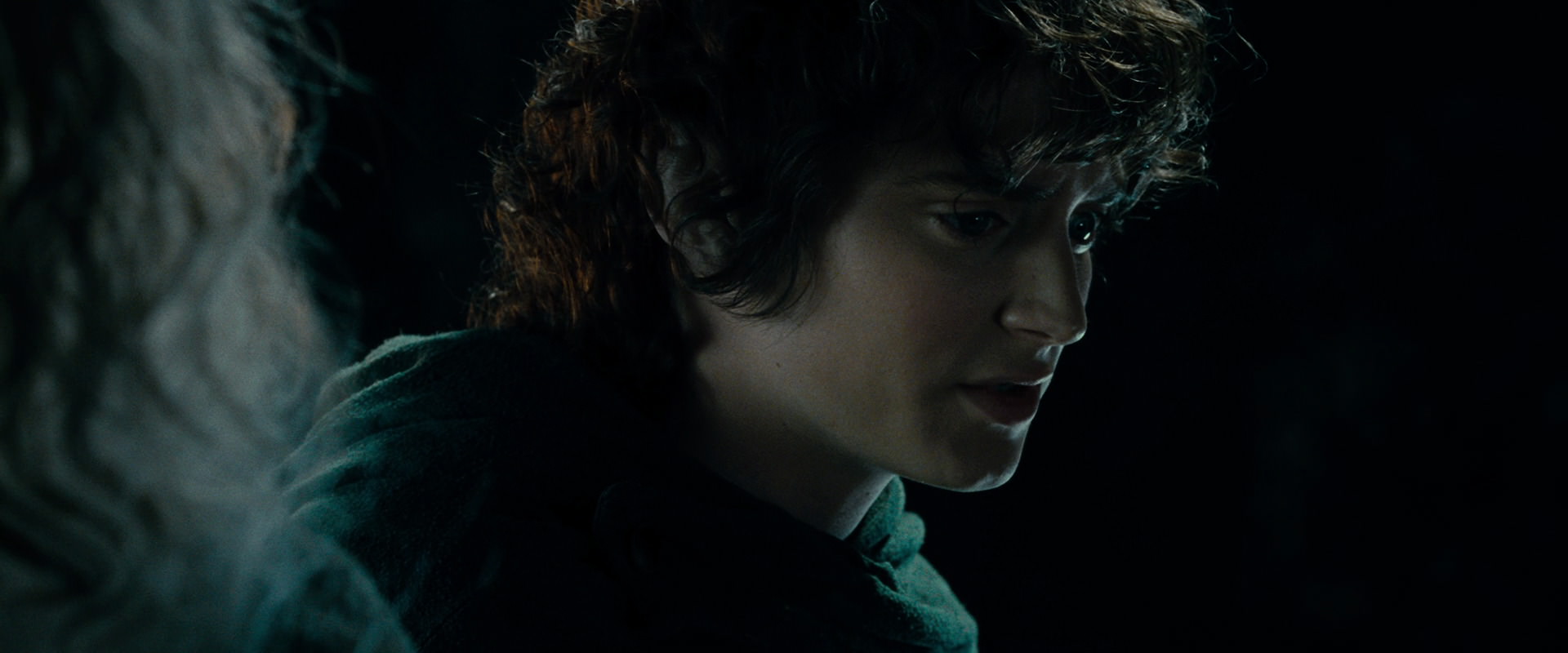 The Lord of the Rings: The Fellowship of the Ring (2001) screencap 15213
