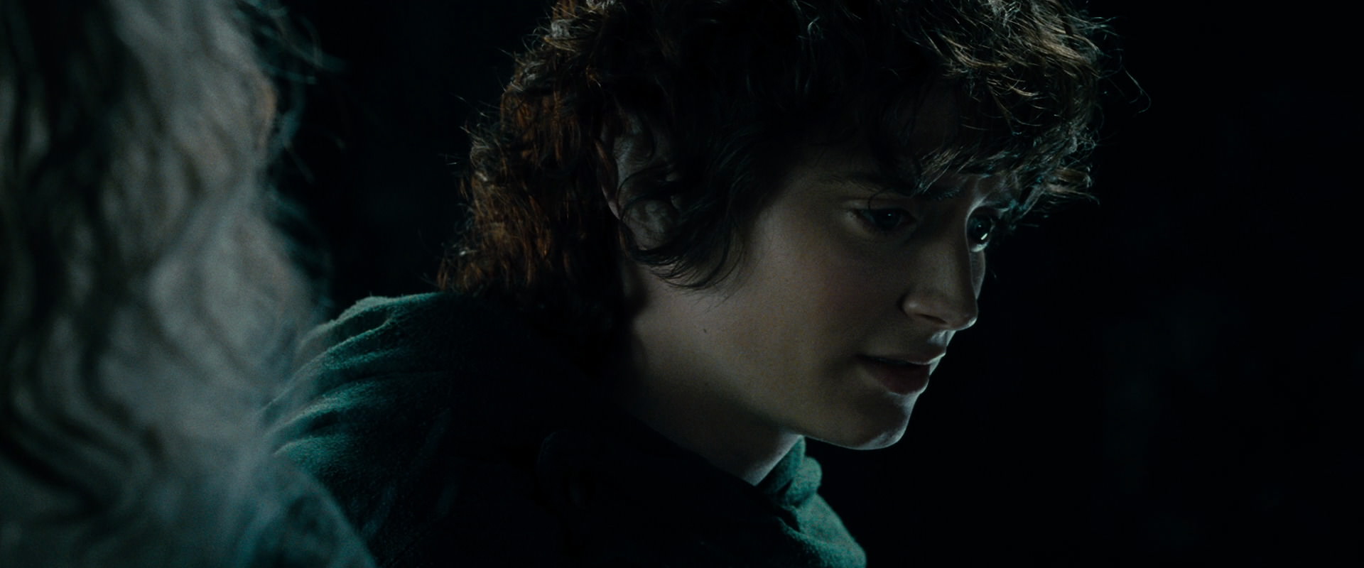 The Lord of the Rings: The Fellowship of the Ring (2001) screencap 15216