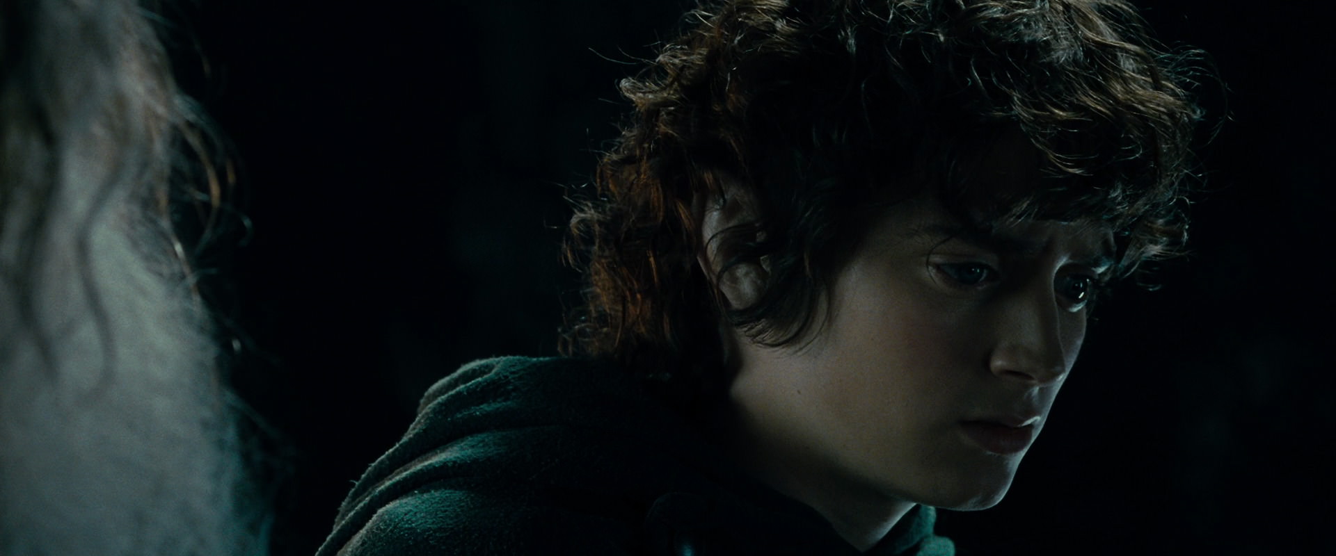 The Lord of the Rings: The Fellowship of the Ring (2001) HD screenshot 15227