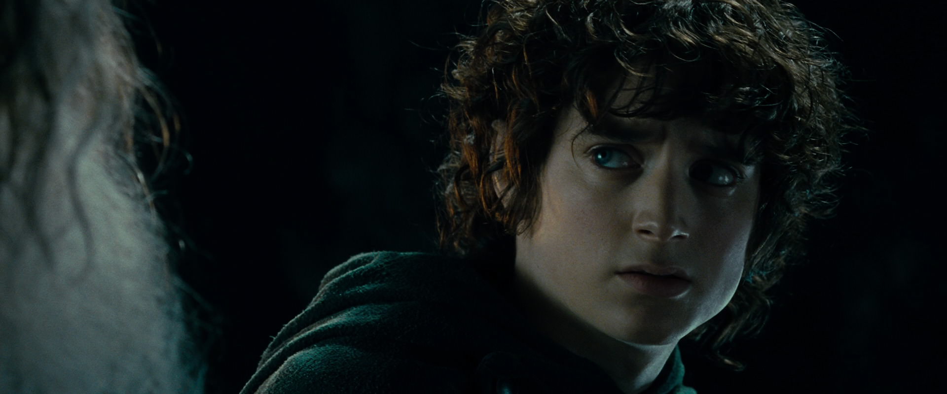 The Lord of the Rings: The Fellowship of the Ring (2001) screencap 15228
