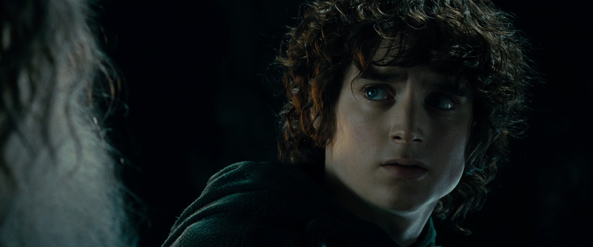 The Lord of the Rings: The Fellowship of the Ring (2001) HD screenshot 15230